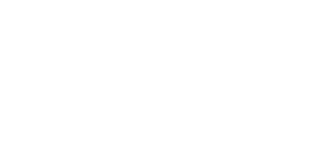 Logo Time Dimension